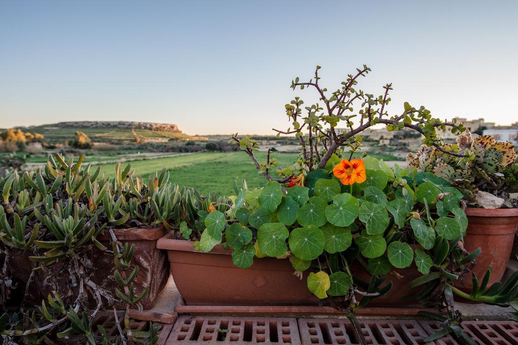 Villayana Holiday Home San Lawrenz Rom bilde